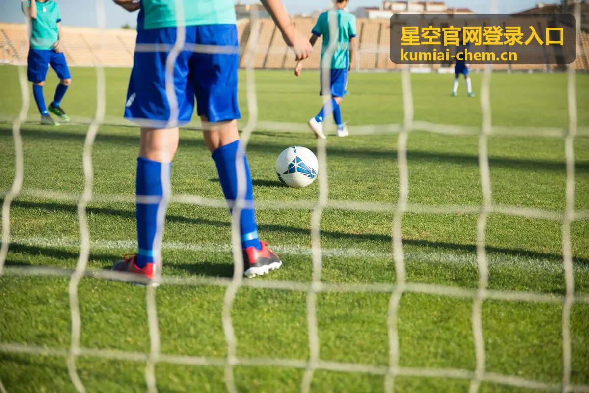 星空官网登录入口账号登录流程示意图